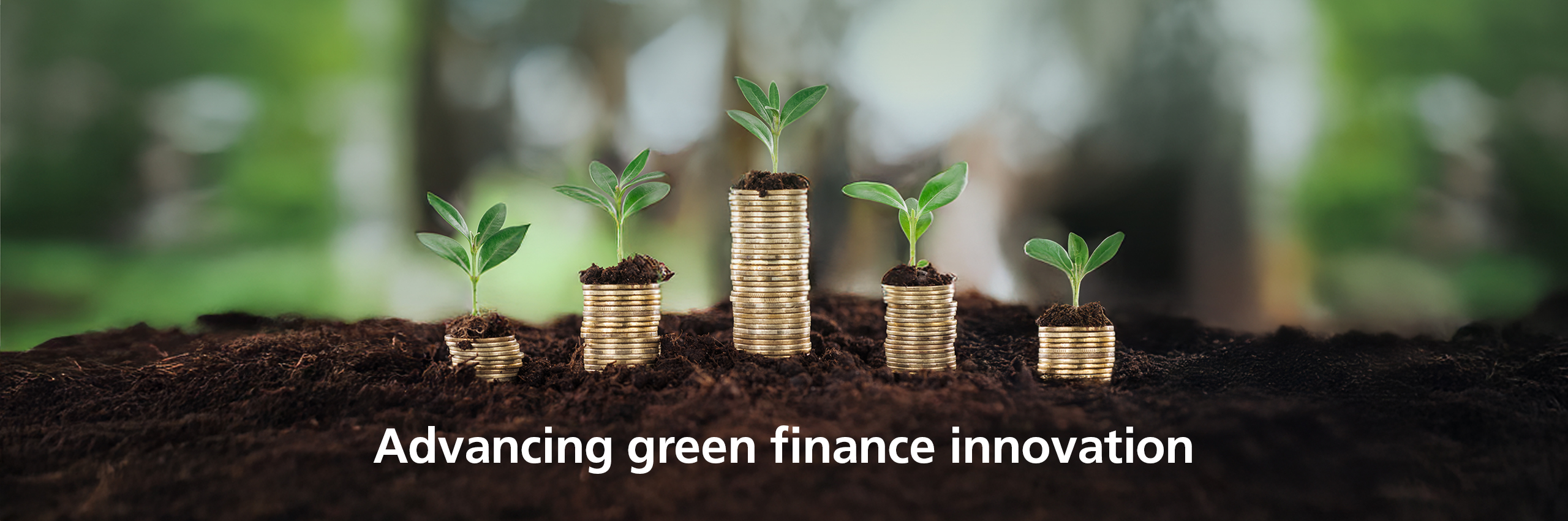 Advancing green finance innovation