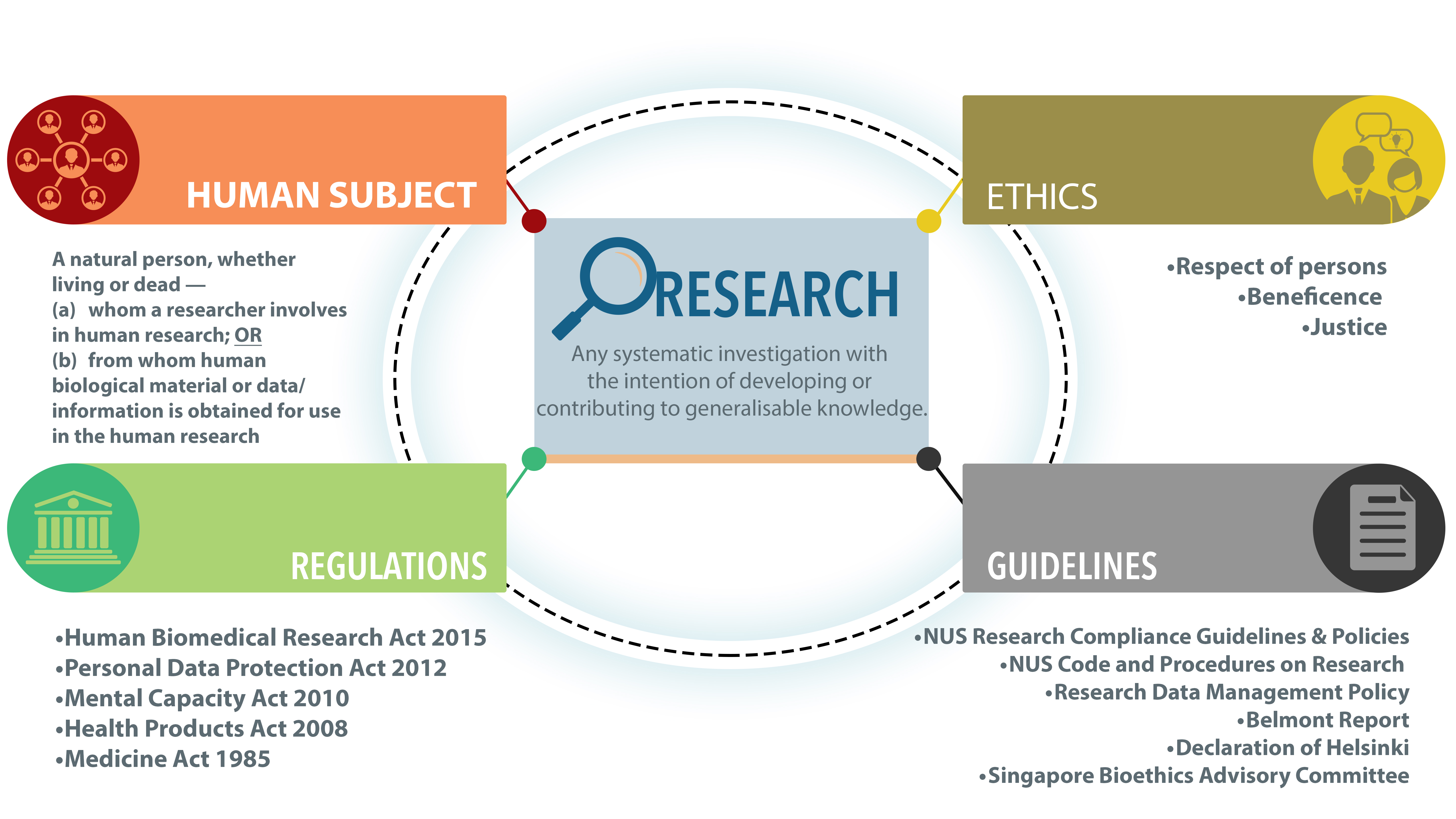 IRB website info graph